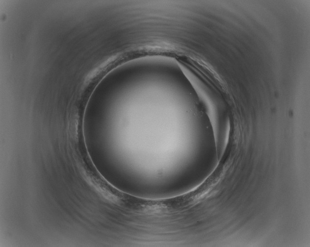 X0000082980446200702011427