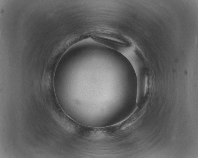 X0000082980451200702011427