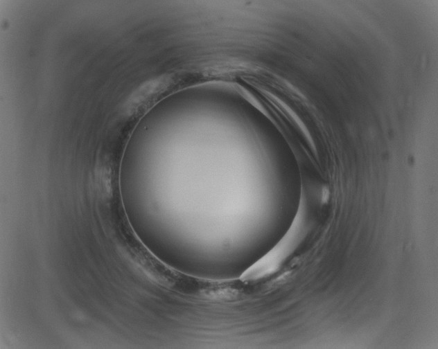 X0000082980452200702011427