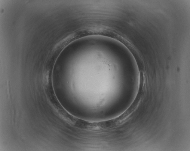 X0000082980454200702011427