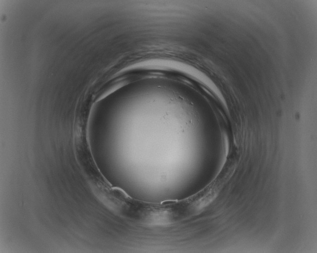 X0000082980456200702011427