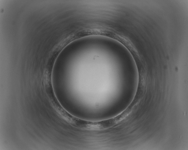 X0000082980457200702011427