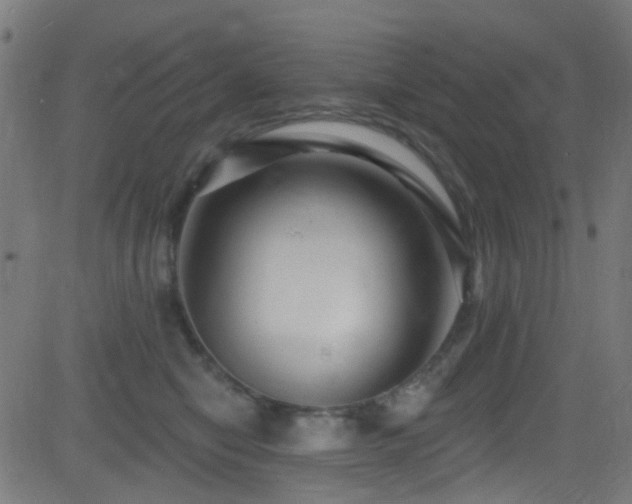X0000082980470200702011428