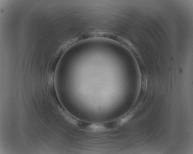 X0000082980477200702011428