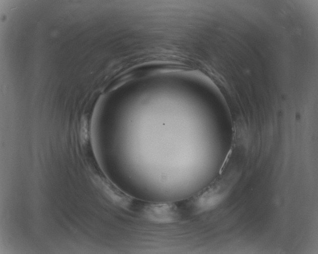 X0000082980479200702011428