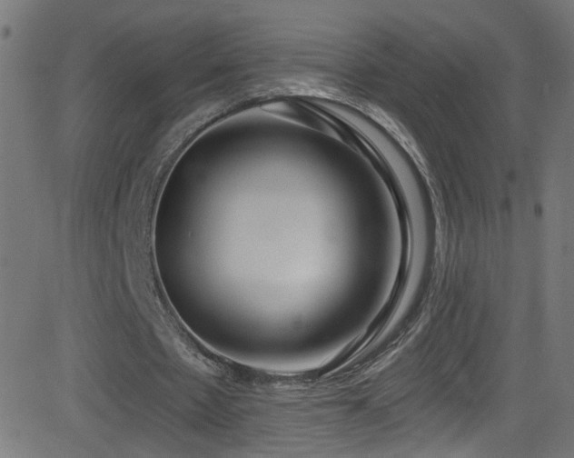 X0000082980481200702011427