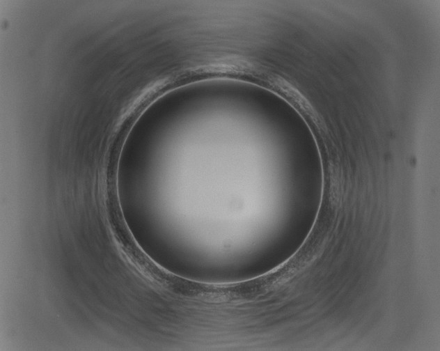 X0000082980482200702011427