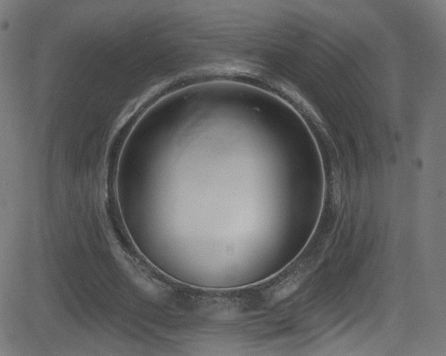 X0000082980486200702011427
