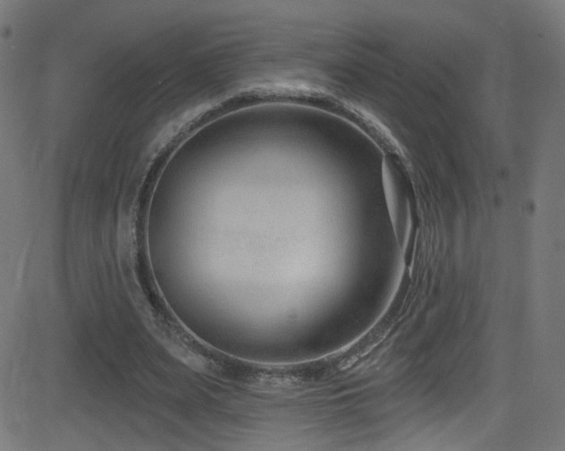 X0000082980487200702011427