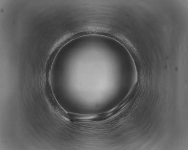 X0000082980488200702011427