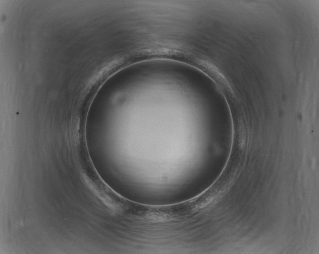 X0000082980490200702011427