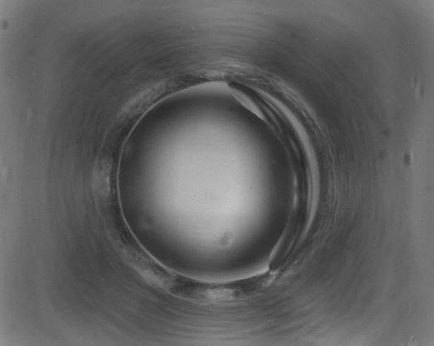 X0000082980501200702011427