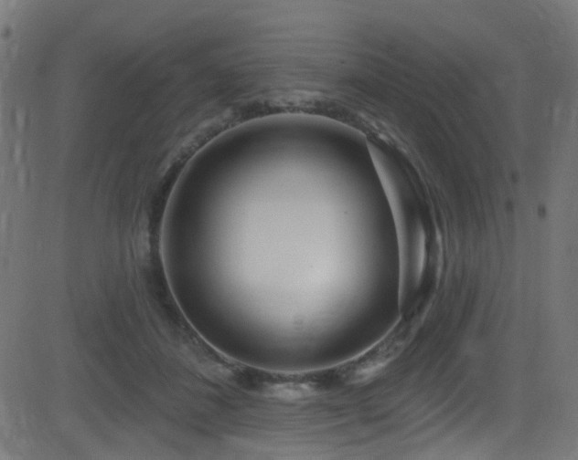 X0000082980508200702011427