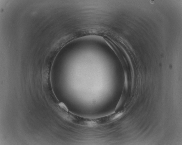 X0000082980509200702011427