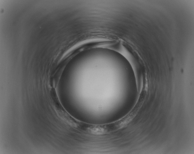 X0000082980512200702011426