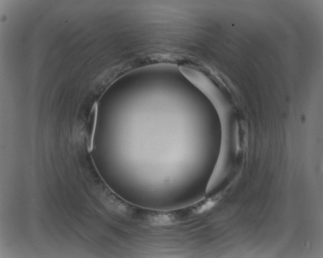 X0000082980513200702011426