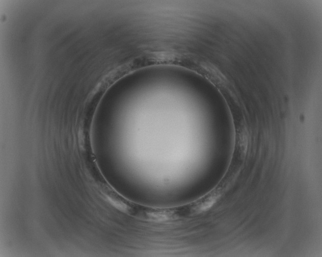 X0000082980516200702011426