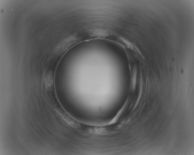 X0000082980517200702011426