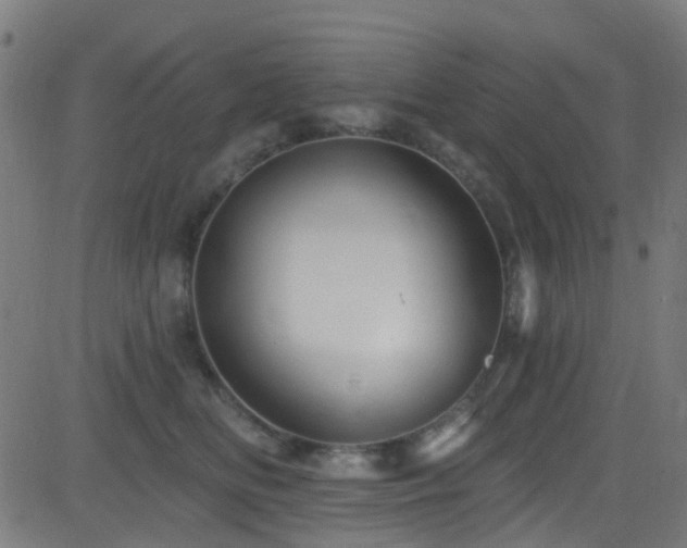 X0000082980518200702011426