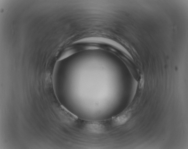 X0000082980521200702011426