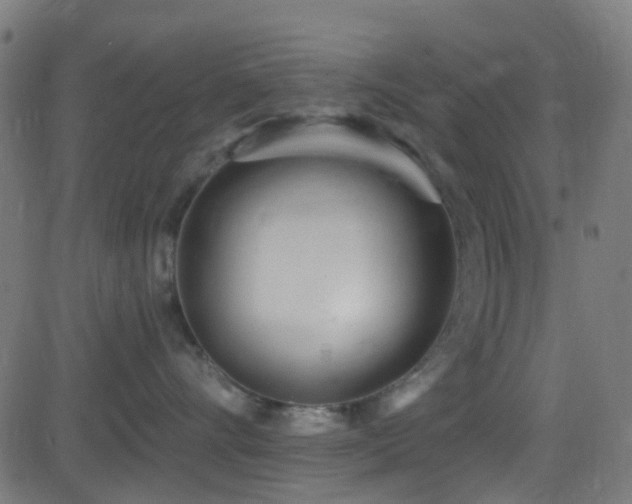 X0000082980528200702011426