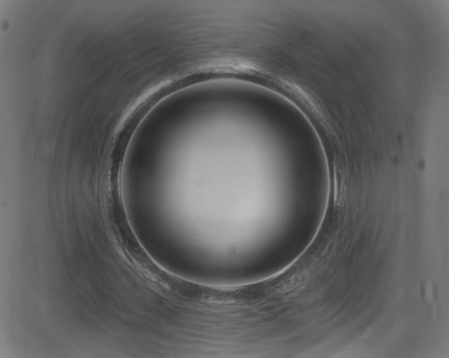 X0000082980531200702011425
