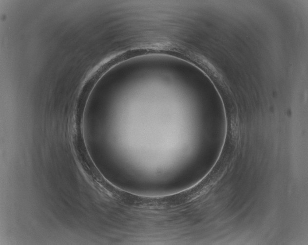 X0000082980532200702011425