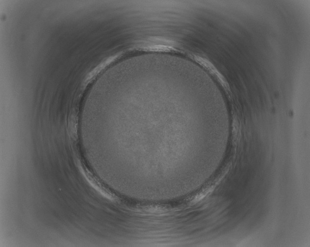 X0000082980533200702011425