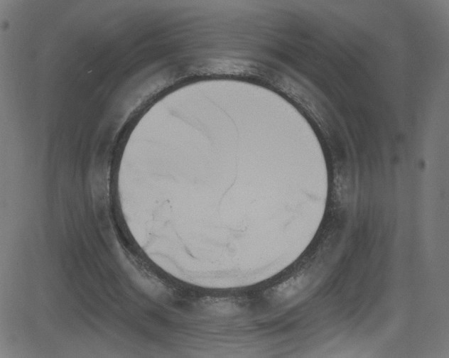 X0000082980534200702011425