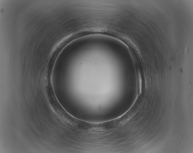 X0000082980536200702011426