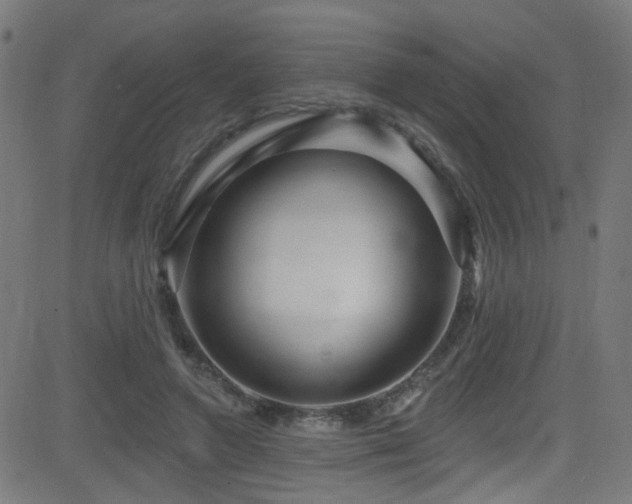 X0000082980546200702011426