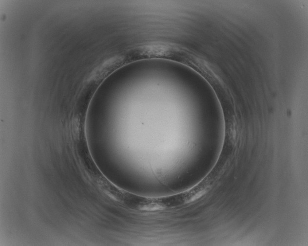 X0000082980551200702011426