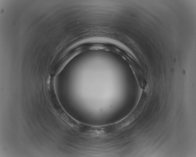X0000082980552200702011426