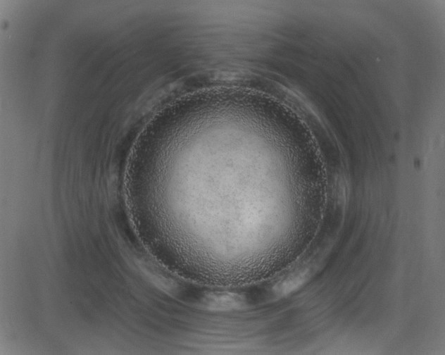 X0000082980557200702011426