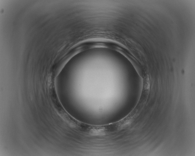 X0000082980560200702011426