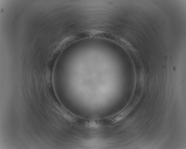 X0000082980565200702011426