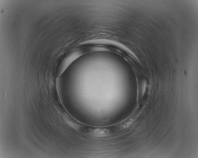 X0000082980566200702011426