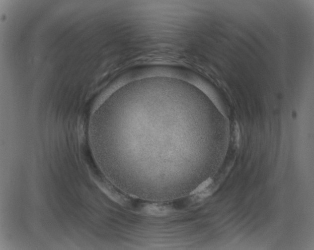 X0000082980568200702011426