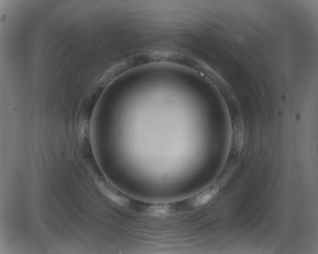 X0000082980574200702011426