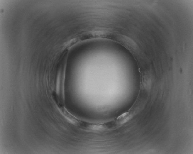 X0000082980575200702011426