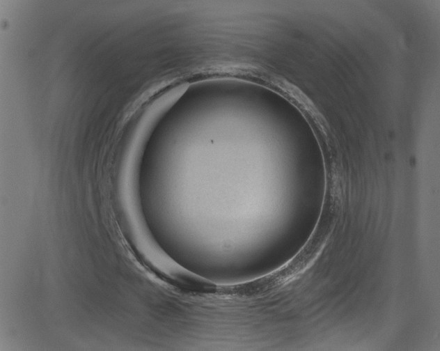 X0000082980577200702011425
