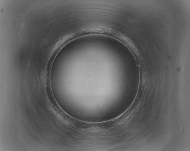 X0000082980578200702011425