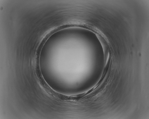 X0000082980580200702011425