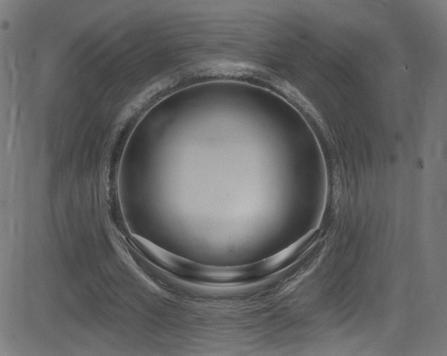 X0000082980581200702011425