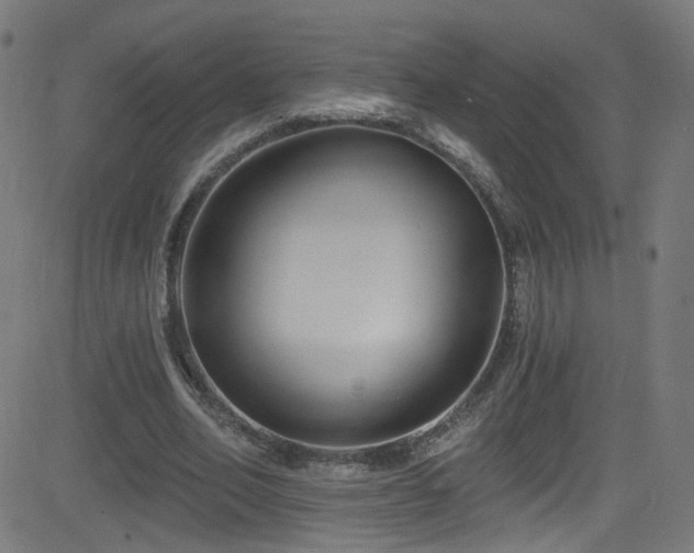 X0000082980582200702011425