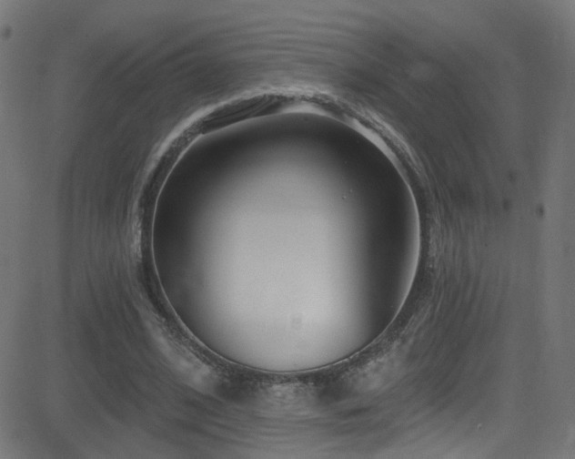 X0000082980584200702011425