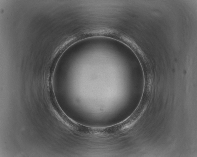 X0000082980585200702011425