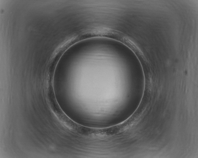 X0000082980586200702011425