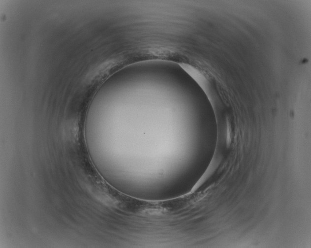 X0000082980595200702011425