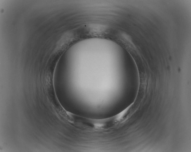 X0000082980603200702011425